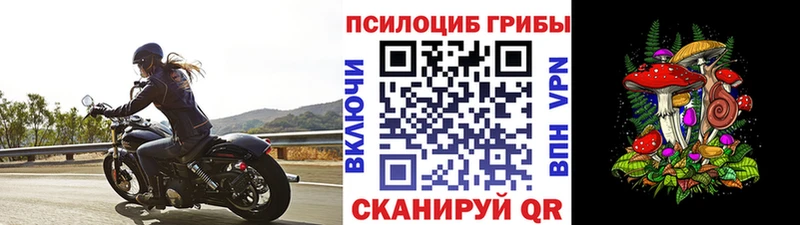 Галлюциногенные грибы мицелий  сайты даркнета наркотические препараты  Якутск 